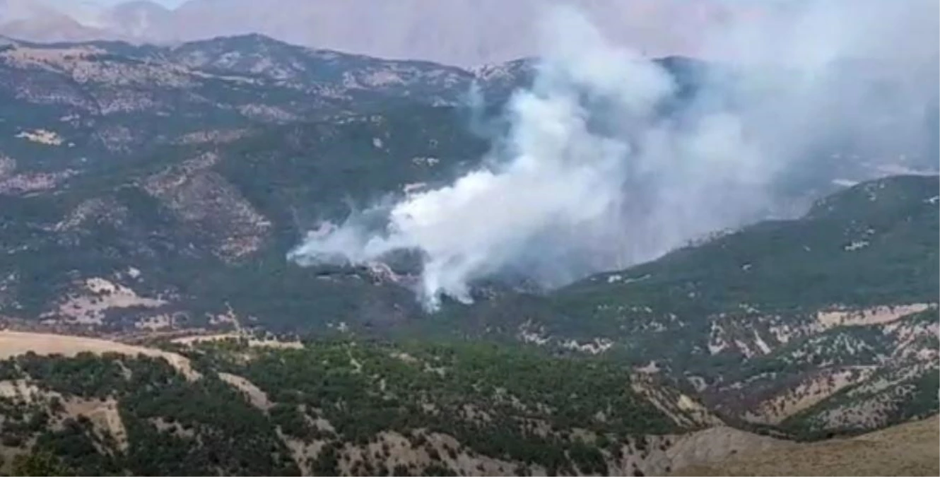 Tunceli\'deki orman yangını devam ediyor