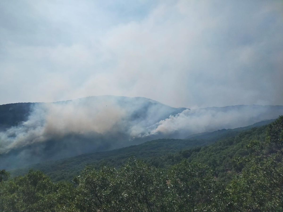 Son dakika haberi! Valilikten yangına ilişkin açıklama