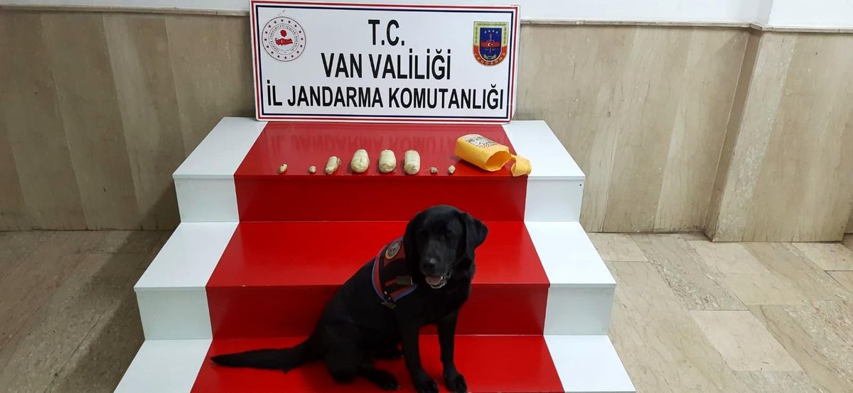 Van\'da taşların arasında saklanmış 2 kilogram reçine esrar ele geçirildi