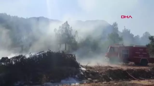 YANGIN ORMANA ULAŞMADAN SÖNDÜRÜLDÜ YANGIN ORMANA ULAŞMADAN SÖNDÜRÜLDÜ