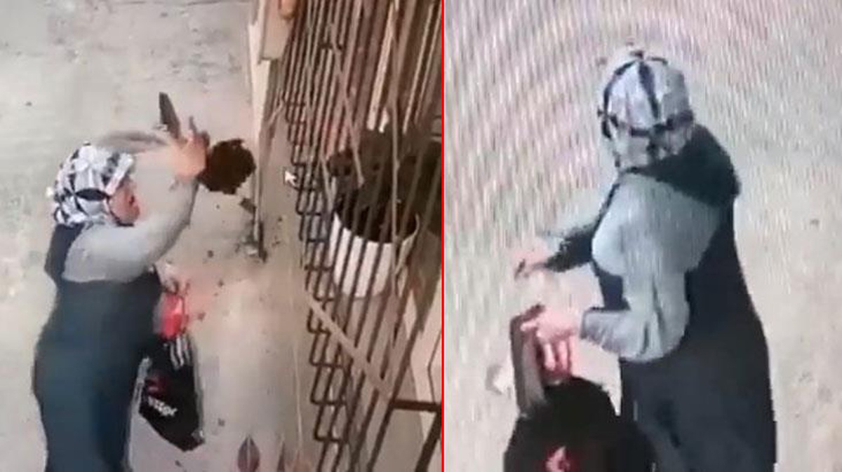 Ev sahibini şaşkına uğratan çiçek hırsızı! Yaşlı kadın, gözüne kestirdiği çiçeği saksıdan söküp çaldı