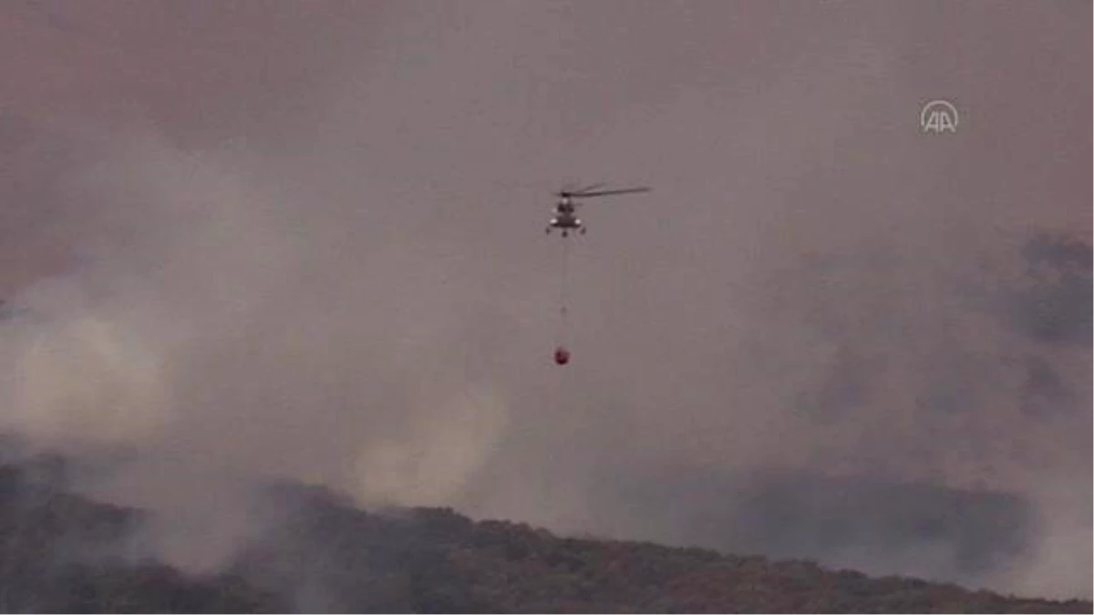 CHP heyeti, örtü yangını bölgesini inceledi