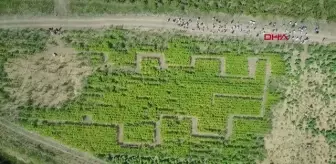 İSTANBUL-TÜRKİYE'NİN İLK MISIR LABİRENTİ KAPILARINI AÇTI