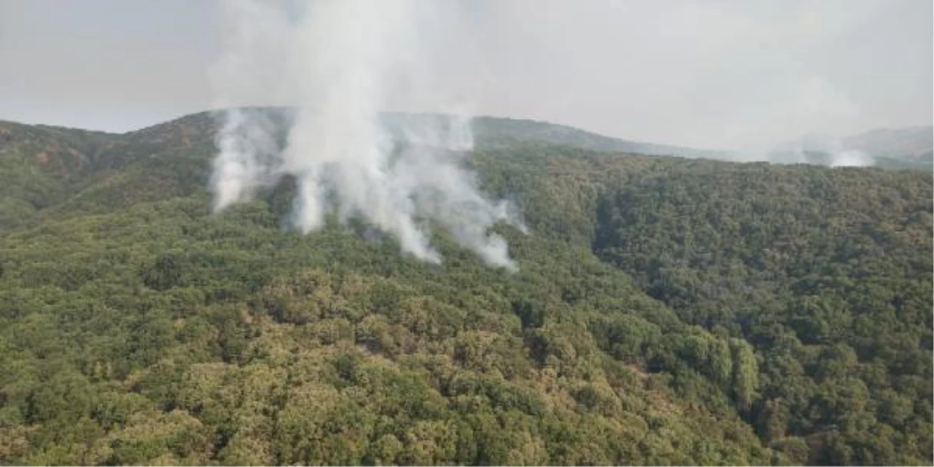 Tunceli\'deki orman yangına 2 helikopter ve 1 uçakla müdahale ediliyor