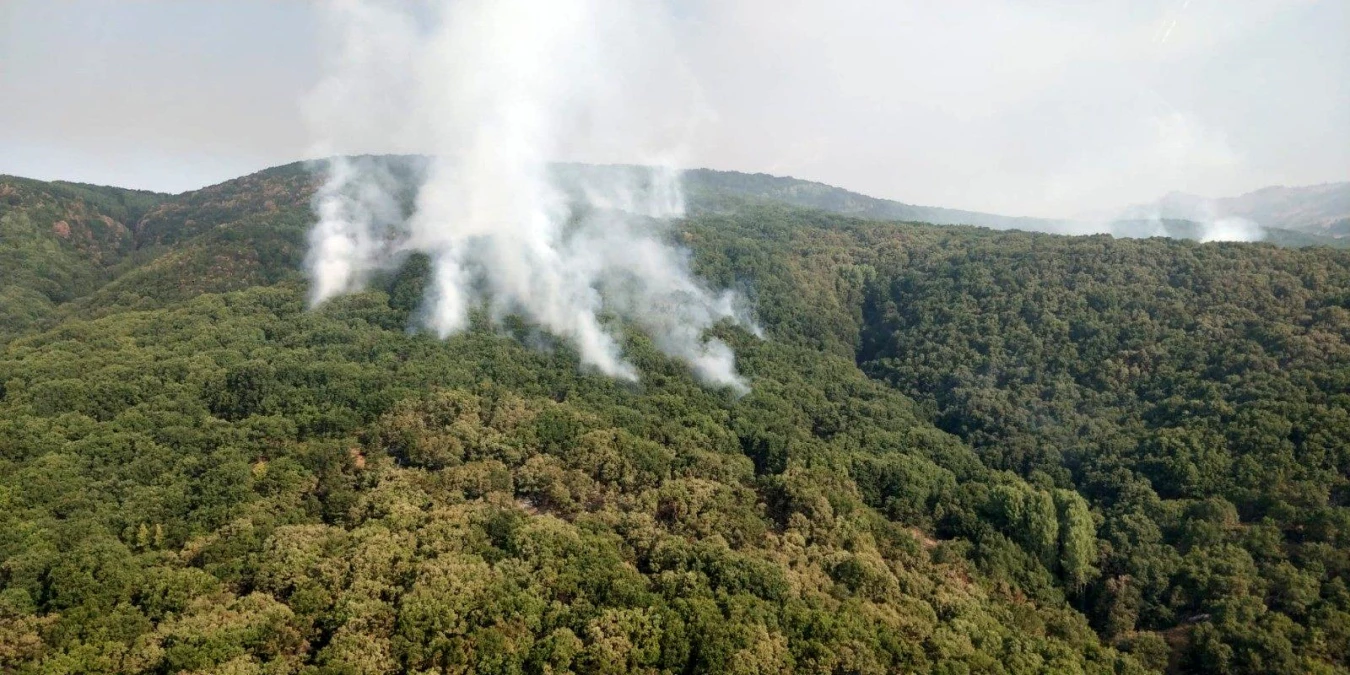 Tunceli\'de 2 helikopter ve 1 uçakla yangına müdahale sürüyor