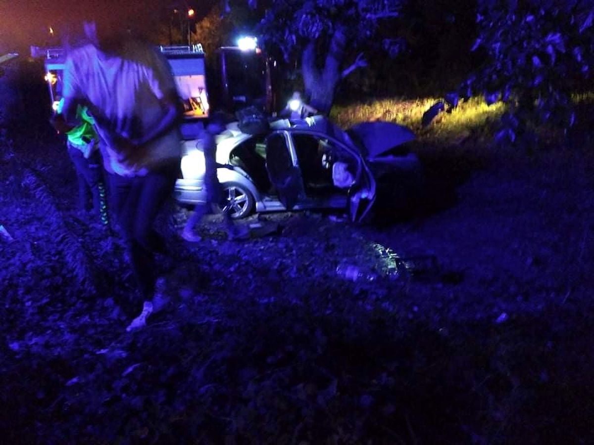 Zonguldak\'ta kontrolden çıkan otomobil çalılık alana uçtu: 1 yaralı