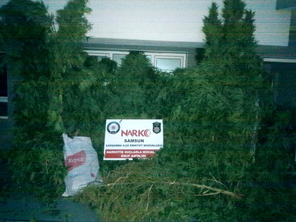 Son dakika haberi: 4 bin 100 gram kubar esrara 1 gözaltı