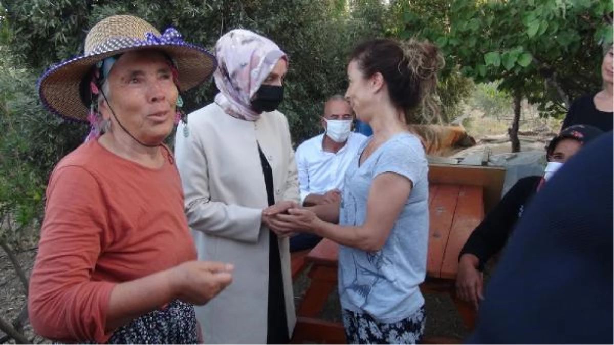 AK Partili Leyla Şahin Usta, yangında zarar gören alanlarda incelemede bulundu