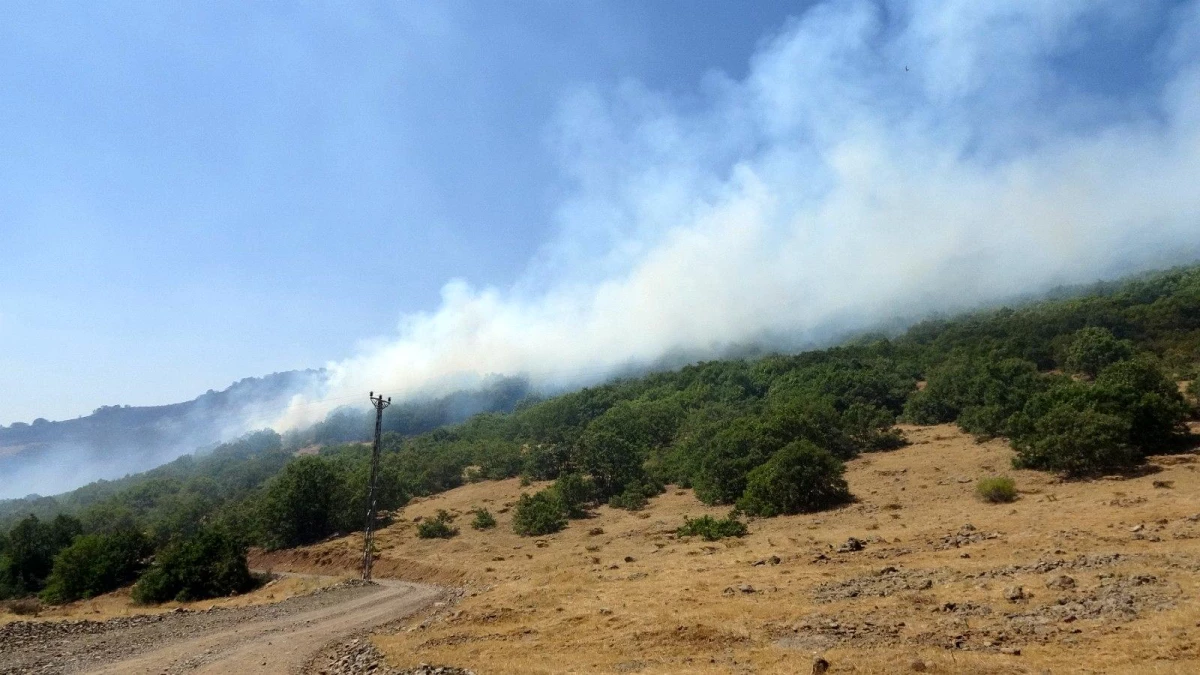 Son dakika haberi... Bingöl\'deki orman yangına 100 kişilik ekip müdahale ediyor