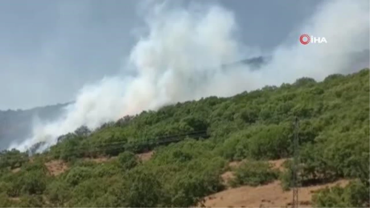 Son dakika haberleri! Bingöl\'deki orman yangını devam ediyor