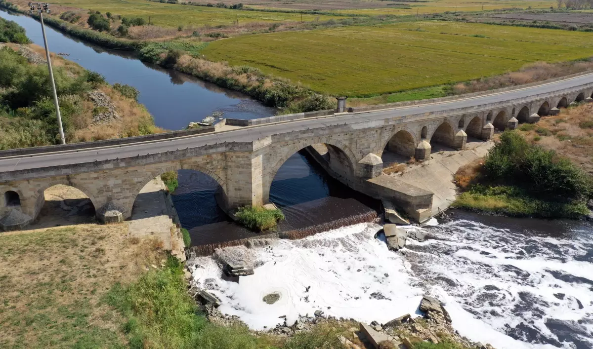 Ergene Nehri\'ndeki kirliliğin "yapay sulak alanlar" kurularak önlenmesi önerildi