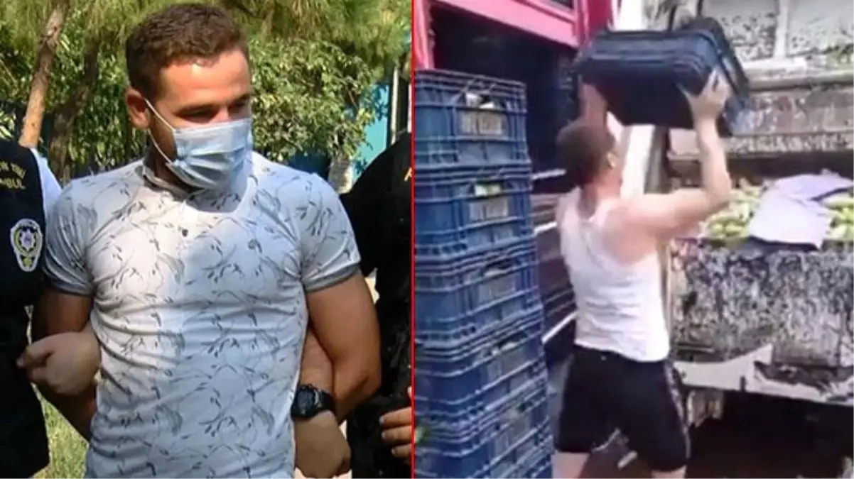 Son Dakika | Kasalar dolusu kabağı çöpe atan kişiden savunma: Kabaklar çürümüştü