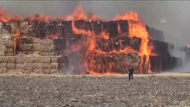 Mısır silajı balyalarının bulunduğu tarlada çıkan yangına müdahale ediliyor