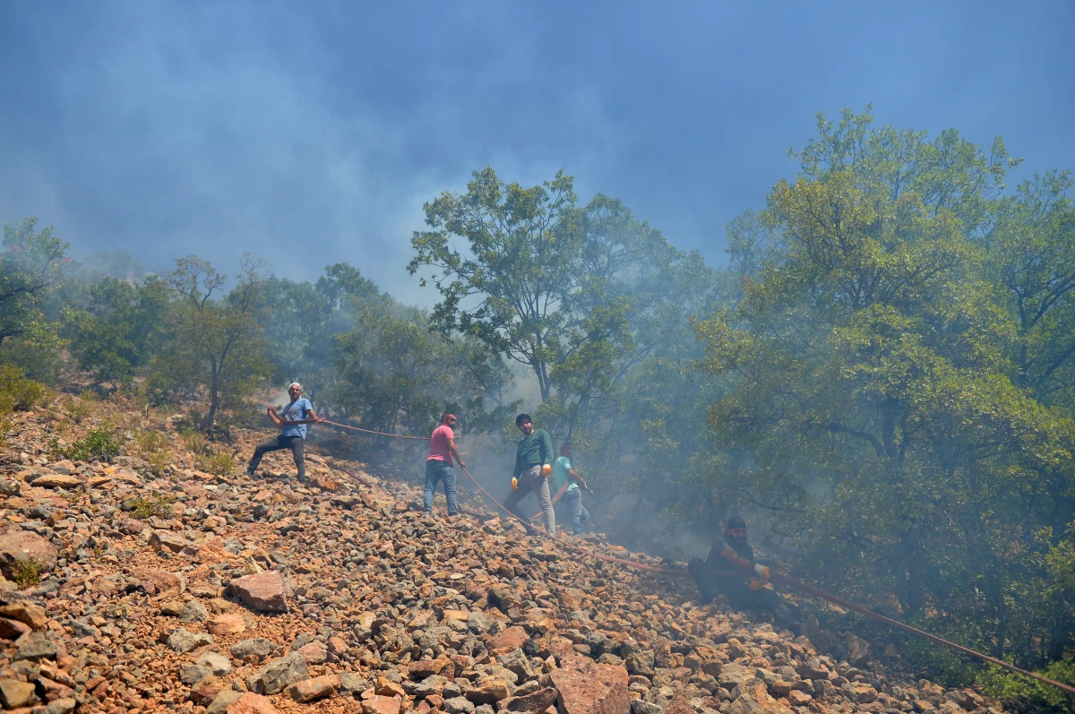 Munzur Vadisi Milli Parkı\'ndaki ormanlık alanda çıkan örtü yangınına müdahale devam ediyor (2)