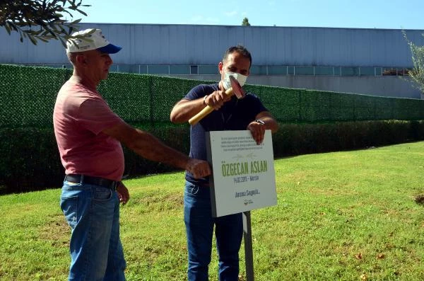 Öldürülen kızının adını taşıyan tabelayı yeniden çaktı: Canımızı aldınız anımıza dokunmayın