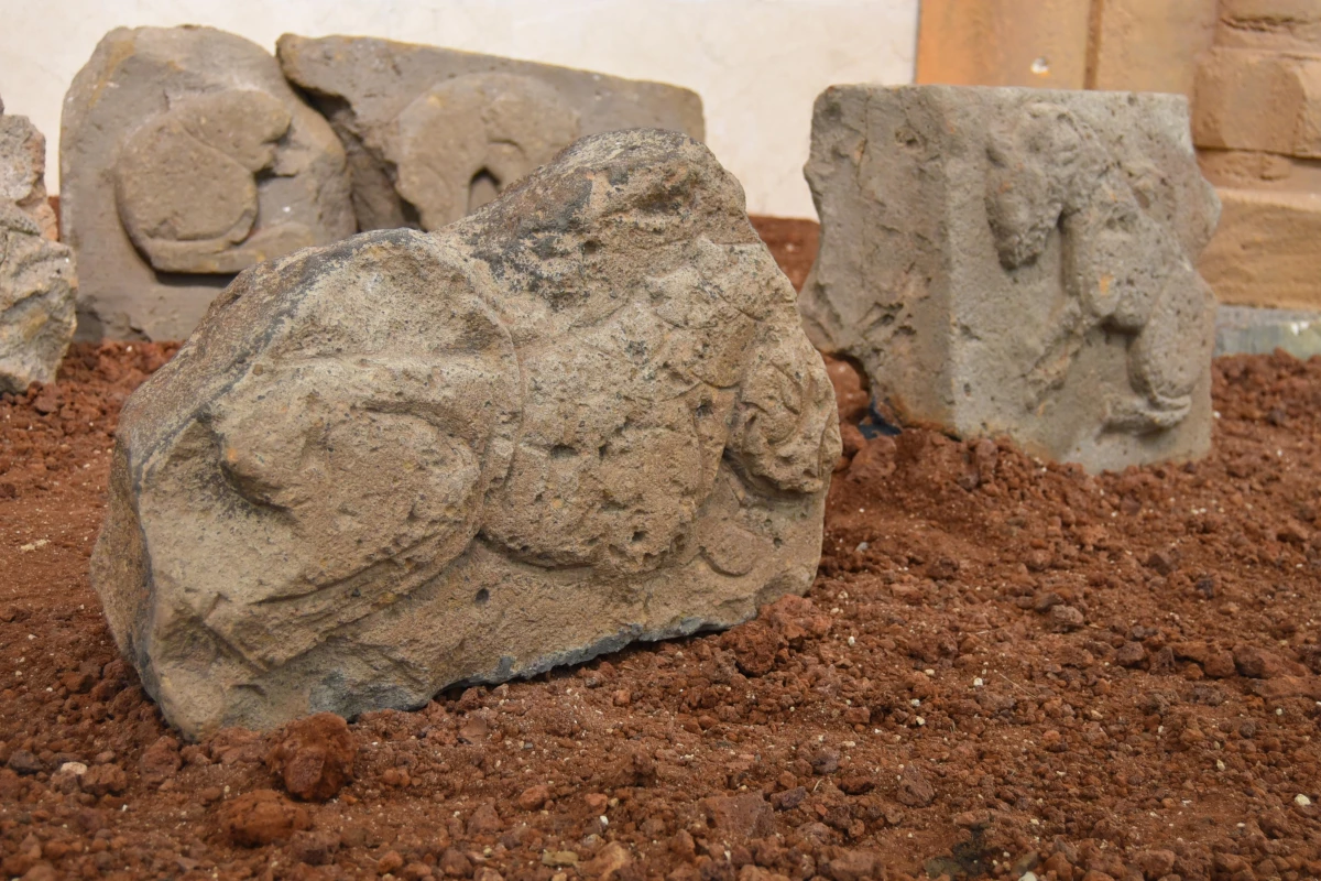 Ani\'deki kazılarda bulunan asırlık aslan kabartmalı taşlar ziyarete açıldı