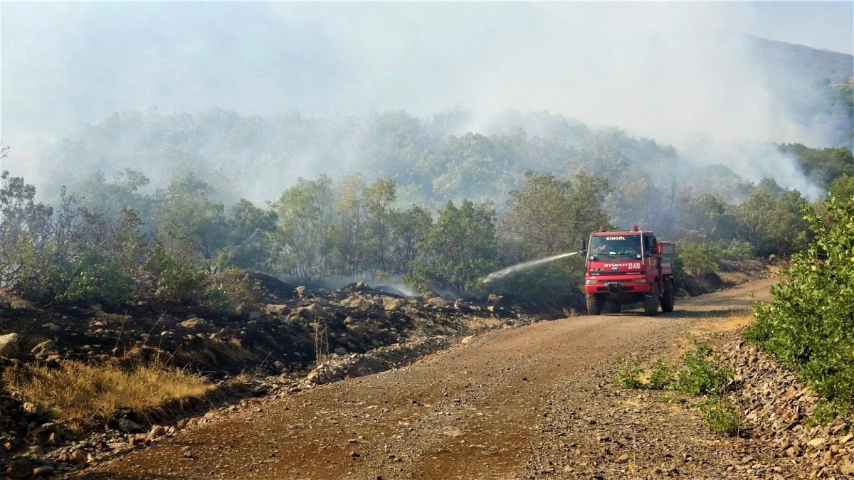 Son dakika haberi | Bingöl\'deki yangına havadan ve karadan müdahale sürüyor