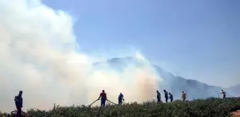 Son dakika haberleri: Ormanlık alanda çıkan örtü yangınının söndürülmesi için çalışmalar sürüyor