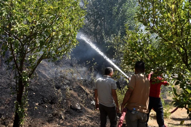Bitlis'teki orman yangını rüzgarın etkisiyle büyüdü