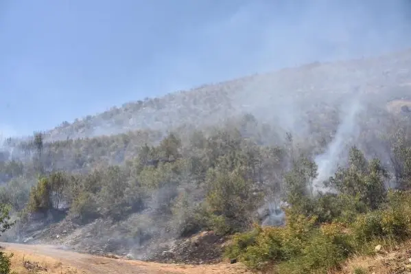 Bitlis'teki örtü yangınına müdahale sürüyor