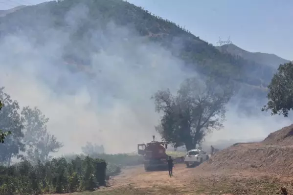 Bitlis'teki örtü yangınına müdahale sürüyor