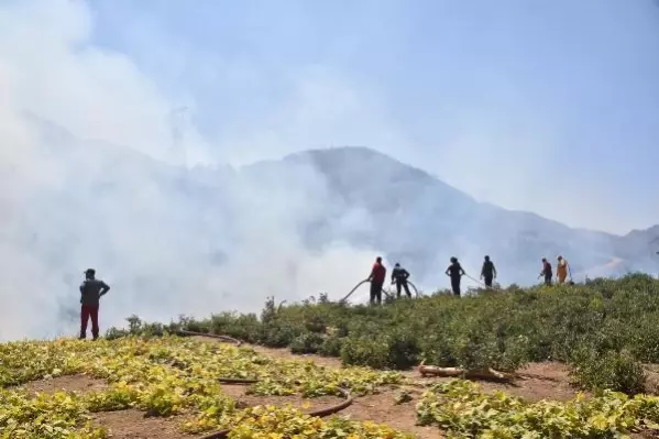 Bitlis'teki örtü yangınına müdahale sürüyor