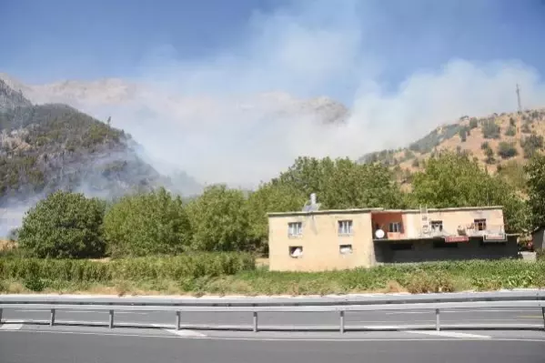 Bitlis'teki örtü yangınına müdahale sürüyor