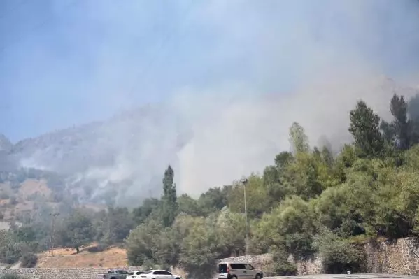 Bitlis'teki örtü yangınına müdahale sürüyor