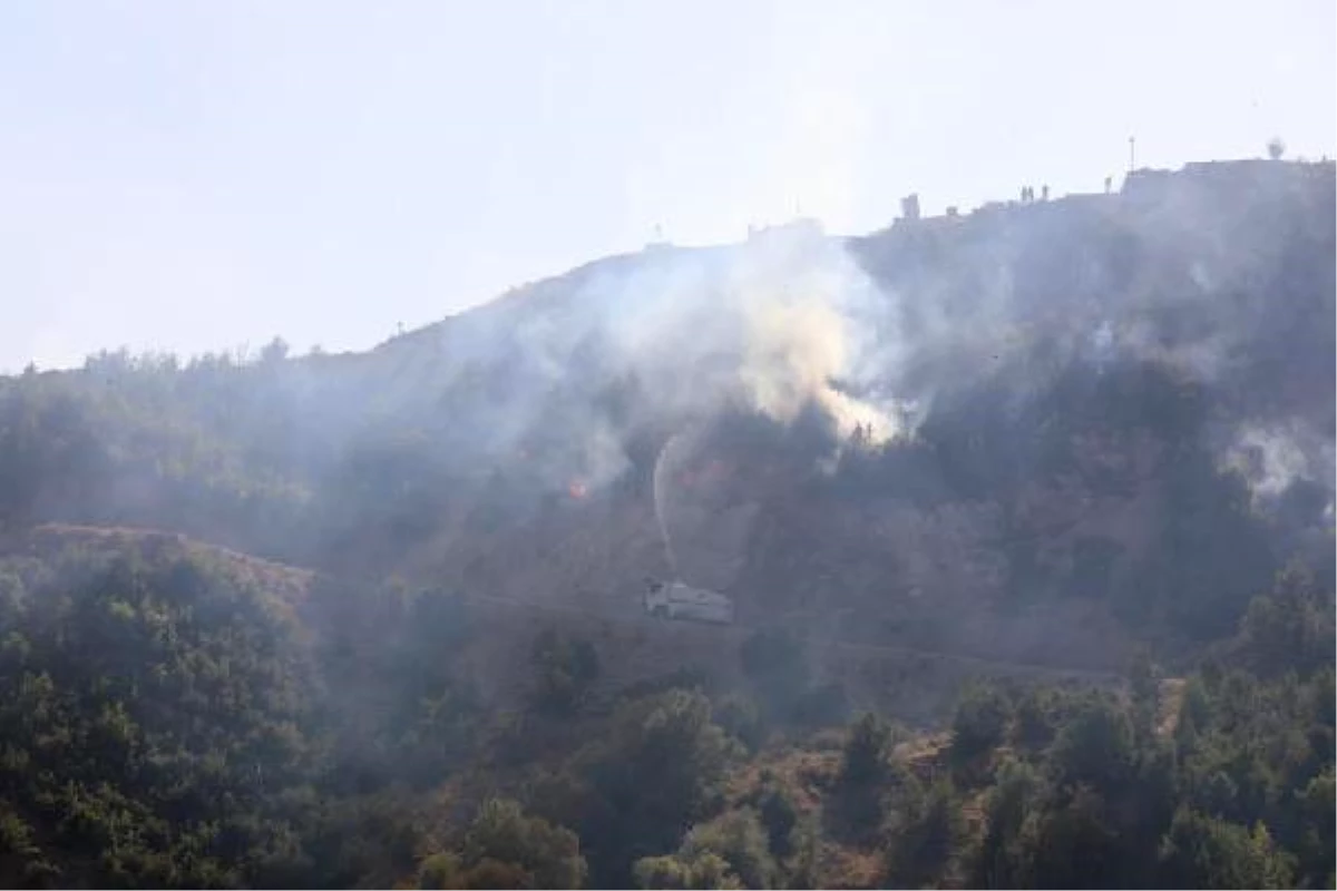 Son dakika haberi: Bitlis\'teki örtü yangınına müdahale sürüyor (2)