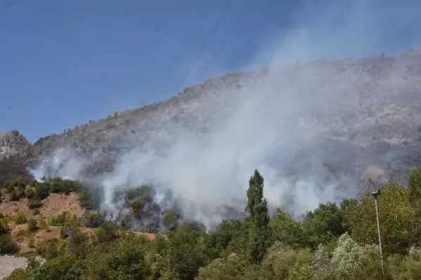 Bitlis'teki örtü yangınına müdahale sürüyor