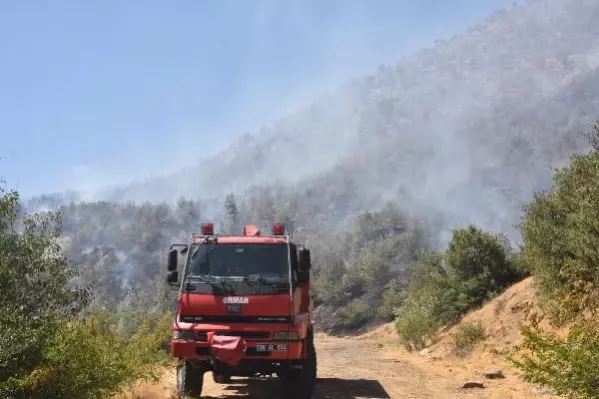 Bitlis'teki örtü yangınına müdahale sürüyor