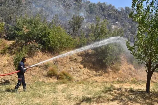 Bitlis'teki örtü yangınına müdahale sürüyor