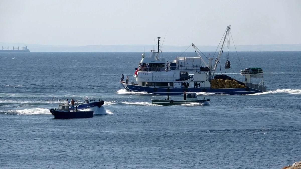 Çanakkale\'de denizlerde av sezonu başlıyor