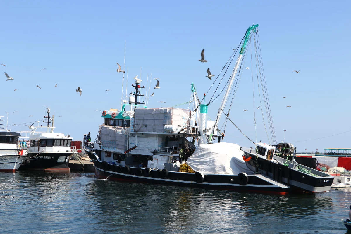 Tekirdağlı balıkçılar ağlarını denize atmaya hazır