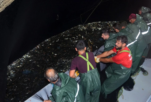 Balıkçılar 'Vira Bismillah' dedi, denizden istavrit fışkırdı