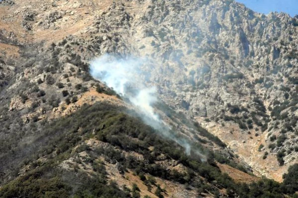 Son dakika haberi: Bitlis'teki örtü yangını 3'üncü günde kısmen kontrol altında (2)