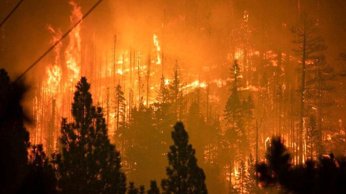 Caldor Yangını: California\'da on binlerce kişi evlerinden tahliye edildi