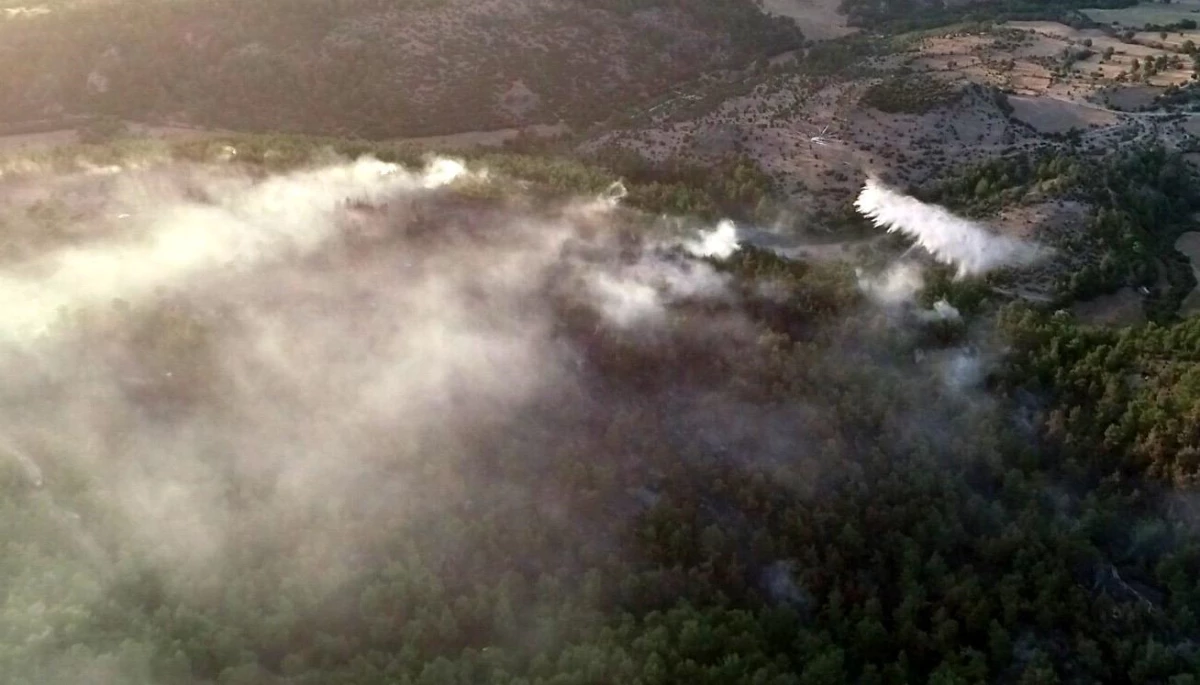 Son dakika haberleri... Çanakkale\'de çıkan orman yangını kontrol altına alındı