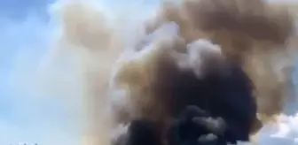 Son dakika gündem: Çanakkale'de orman yangını