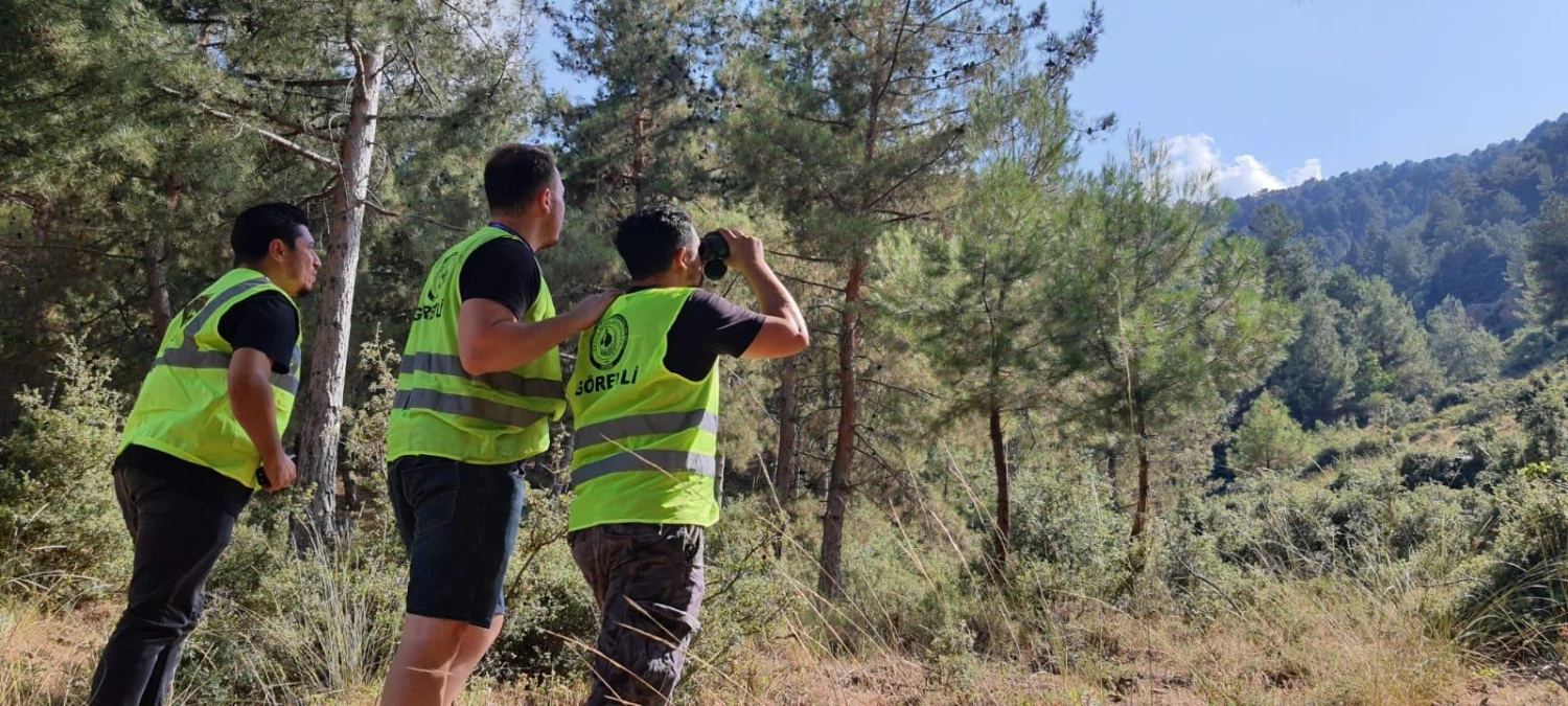 Denizli\'de orman yangınlarına karşı gönüllüler de nöbette