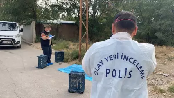 Elektrik hattı direğindeki kabloları kesen kişi hayatını kaybetti Elektrik hattı direğindeki kabloları kesen kişi hayatını kaybetti