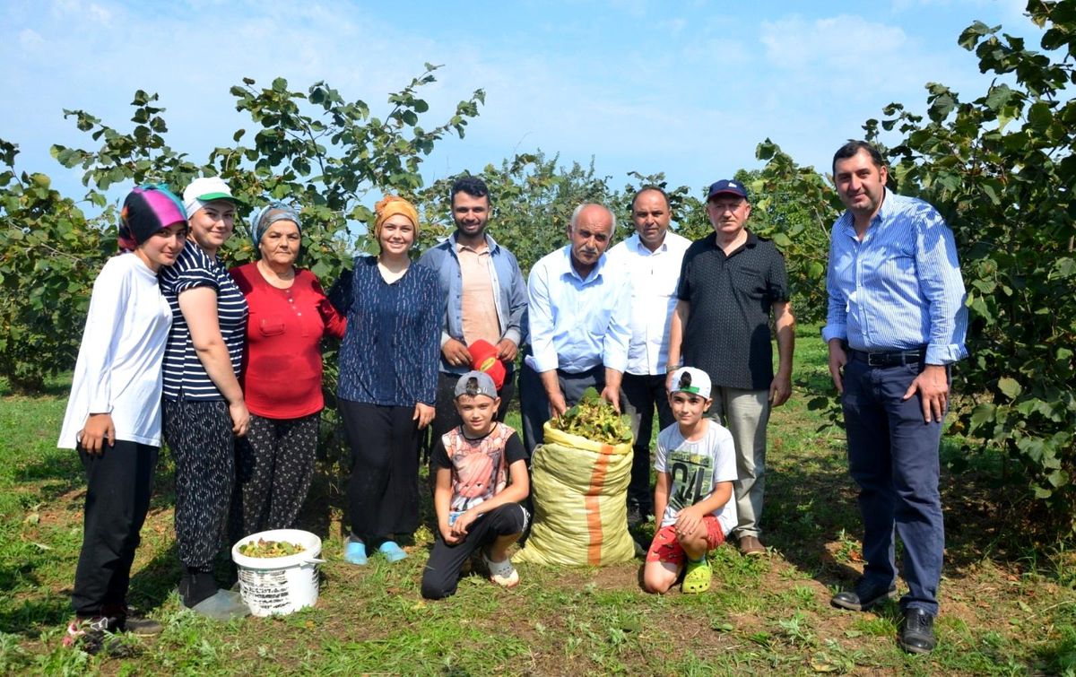 Fındık bahçelerinde \'orman arazisi\' sorunu