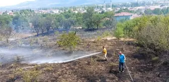 Gölpazarı'nda çıkan yangında 10 dönüm alan zarar gördü