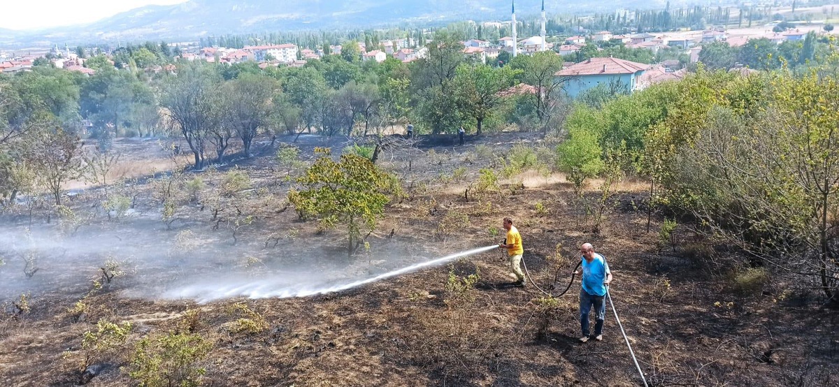 Gölpazarı\'nda çıkan yangında 10 dönüm alan zarar gördü