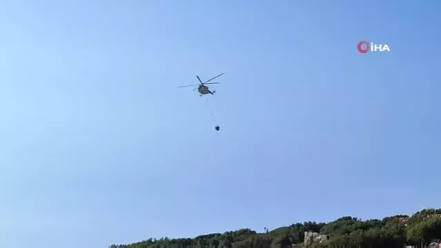 Hatay'da çıkan yangın kontrol altına alındı