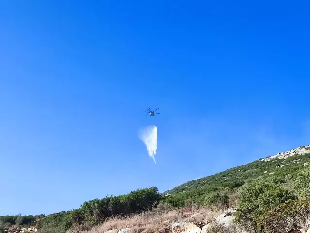 Hatay'da çıkan yangın kontrol altına alındı