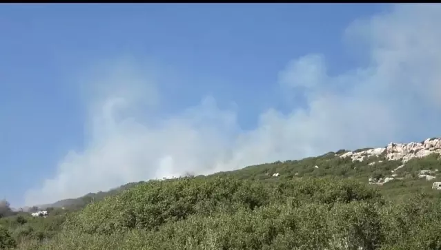 Hatay'da çıkan yangın kontrol altına alındı