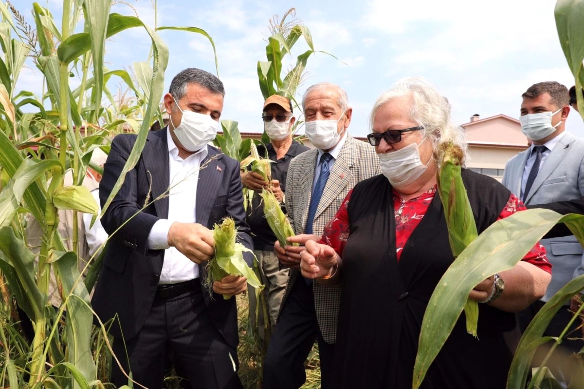 Huzurevi sakinleri hobi bahçesini hasat etti