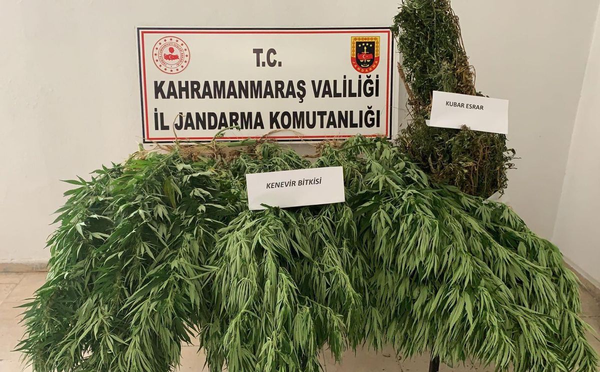Kahramanmaraş\'ta uyuşturucu operasyonuna 1 gözaltı
