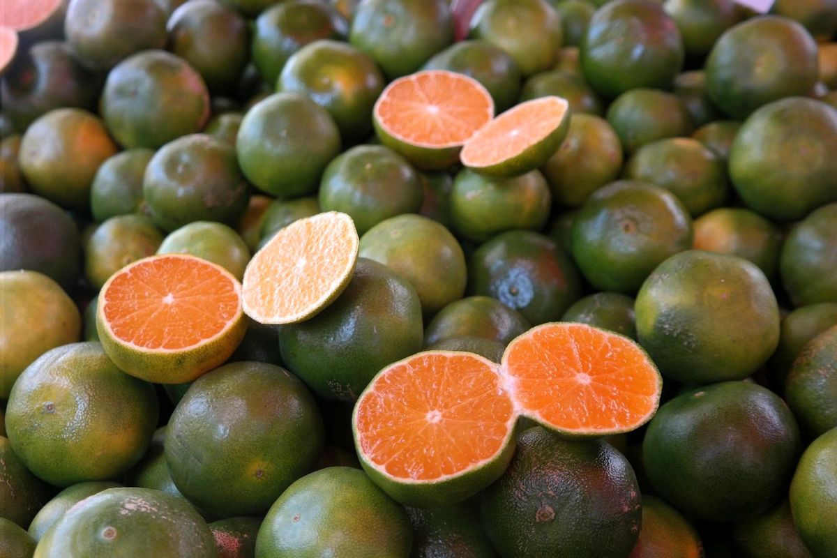 Mandalina tezgâhlarda yerini almaya başladı
